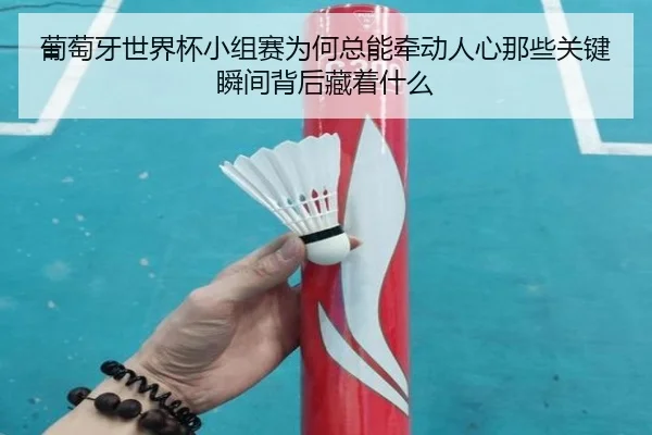 葡萄牙世界杯小组赛为何总能牵动人心那些关键瞬间背后藏着什么